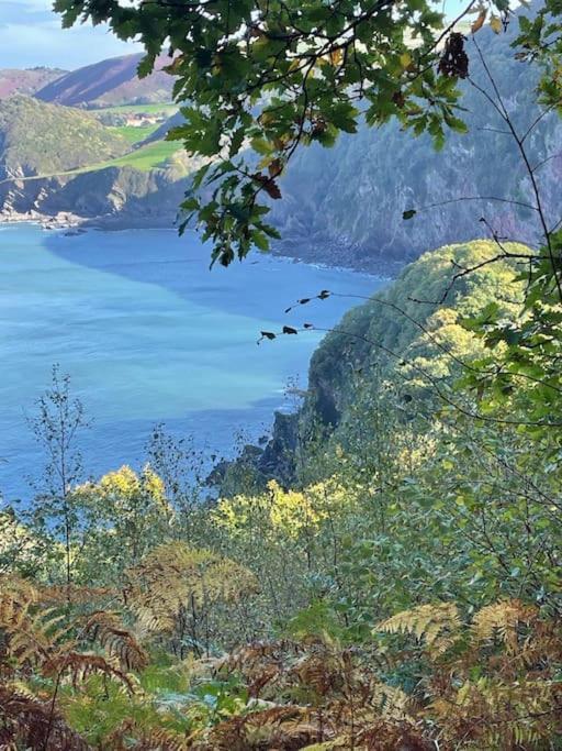 Linnet, Moor And Sea Holidays, Set Perfectly Between Exmoor And The Sea Линтон Экстерьер фото